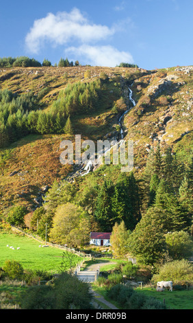 Carrawaystick Waterfall rises above a remote farm in Glenmalure, Wicklow Mountains, County Wicklow, Ireland. Stock Photo