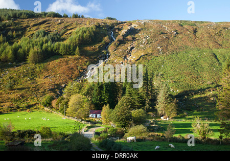 Carrawaystick Waterfall rises above a remote farm in Glenmalure, Wicklow Mountains, County Wicklow, Ireland. Stock Photo