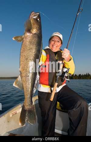 Woman angler holding the summer walleye she caught in Northern Ontario, Canada. Stock Photo