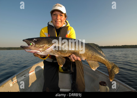 Woman angler holding the summer walleye she caught in Northern Ontario, Canada. Stock Photo