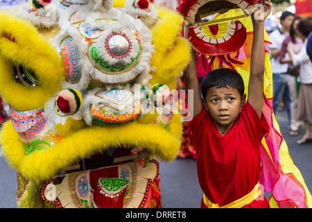 Bangkok, Thailand. 31st Jan, 2014. Members of a children's Chinese Lion dance troupe perform on Yaowarat Road to celebrate the Year of the Horse during Lunar New Year festivities. Credit:  Jack Kurtz/ZUMAPRESS.com/Alamy Live News Stock Photo