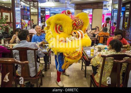 Bangkok, Thailand. 31st Jan, 2014. A Chinese Lion dancer performs in a restaurant on Yaowarat Road during Lunar New Year festivities. Credit:  Jack Kurtz/ZUMAPRESS.com/Alamy Live News Stock Photo