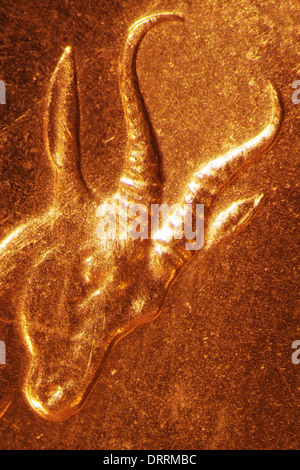 Micro Photo of a Gold Coin Stock Photo