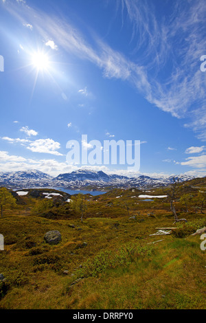 Haukeli in the summer Stock Photo