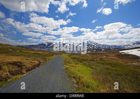 Haukeli in the summer Stock Photo