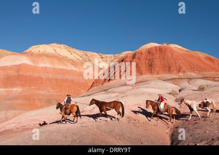 Cowboy and cowgirl lead horses after a round-up in the Painted Hills area of the Bighorn Mountains of Wyoming Stock Photo