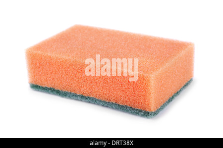 Sponge isolated on a white background