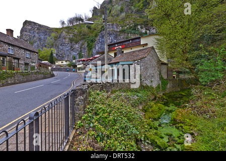 Cheddar Gorge is a limestone gorge in the Mendip Hills, near the village of Cheddar in Somerset Stock Photo