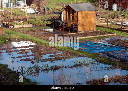 Flooded allotment garden, Kenilworth, Warwickshire, UK Stock Photo