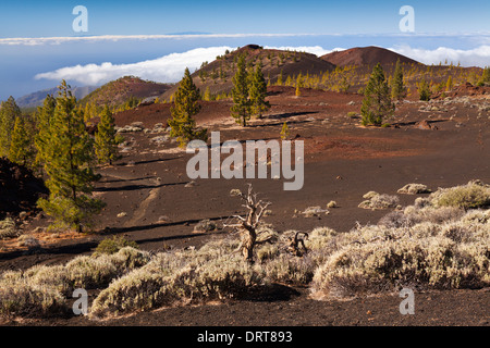 Caldera Landscape of Teide National Park, Tenerife, Spain Stock Photo