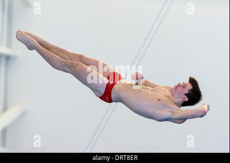 Southend-on-Sea, England. 1st Feb, 2014. Freddie Woodward of City of Sheffield Diving Club competes during the Mens 3m Springboard Preliminary on Day 2 of the British Gas Diving National Cup 2014 from Southend Swimming and Diving Centre. Credit:  Action Plus Sports Images/Alamy Live News Stock Photo