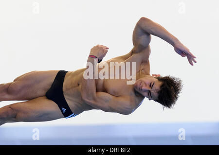 Southend-on-Sea, England. 1st Feb, 2014. Duran Omer of Southend Diving competes during the Mens 3m Springboard Preliminary on Day 2 of the British Gas Diving National Cup 2014 from Southend Swimming and Diving Centre. Credit:  Action Plus Sports Images/Alamy Live News Stock Photo