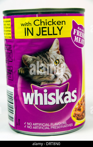 Whiskas cat food tin Stock Photo Alamy