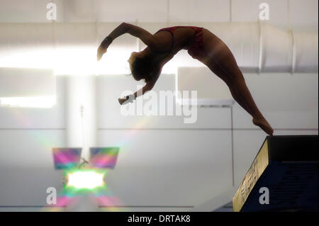 Southend-on-Sea, UK. 01st Feb, 2014. Victoria Vincent of Plymouth Diving compete during the Womens 10m Platform Preliminary on Day 2 of the British Gas Diving National Cup 2014 from Southend Swimming &amp; Diving Centre. Credit:  Action Plus Sports/Alamy Live News Stock Photo