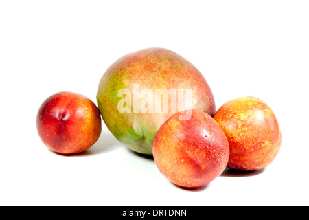 studio shot of three nectarines and ripe tropical mango on white Stock Photo