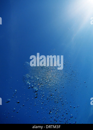 u nder water air bubbles rising to water surface with sunlight in background, natural scene, Stock Photo