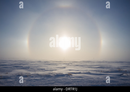 Strong winds and blowing snow create a sundog / parhelion as the sun rises above a cold rural winter landscape in Ontario Canada Stock Photo