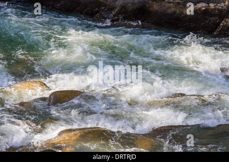 Rapids on the Animas River in autumn, in the San Juan Mountains of Colorado.