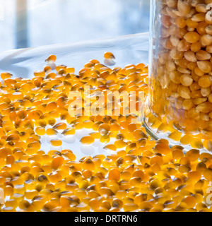 Popcorn kernels and a full jar on a glass table Stock Photo