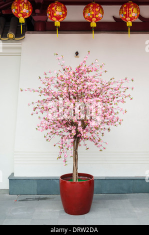 Artificial pink cherry blossoms on a tree to celebrate the Chinese Luna New Year in Singapore Stock Photo