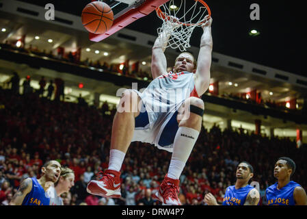 Albuquerque, New Mexico, USA. 1st Feb, 2014. Lobo center ALEX KIRK dunks the ball against San Jose State Saturday afternoon in the Pit. Lobos defeated San Jose State 72 to 47. Kirk finished the game with 13 points. Credit:  Roberto E. Rosales/Albuquerque Journal/ZUMAPRESS.com/Alamy Live News Stock Photo