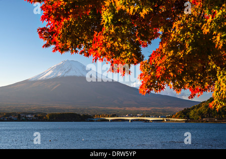 Mt Fuji in the Fall season. Stock Photo