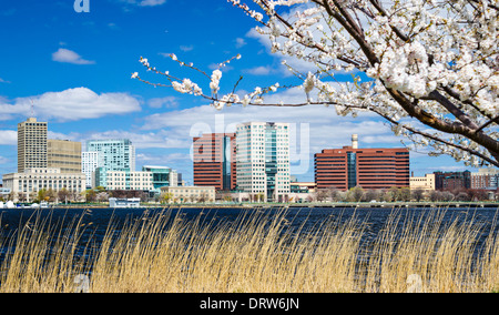 Cambridge, Massachusetts skyline in the spring. Stock Photo