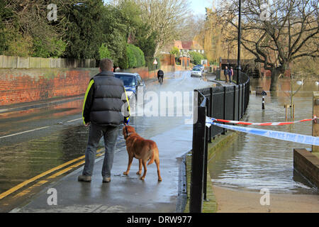 Cobham, Surrey, England, UK. 2nd February 2014. After the exceptional levels of rainfall across the UK, the River Mole has burst its banks in many places in Surrey. Here in Cobham, Mill Road is flooded with several inches of water from the adjacent river. Cyclists and pedestrians were finding it particularly hard to get through. This man waits for the road to clear of traffic before attempting to cross with his dog. Credit:  Julia Gavin/Alamy Live News Stock Photo