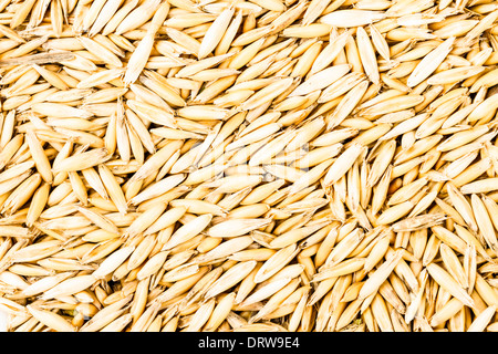 Uncooked Rye Uncooked rye grain seeds with nutrition facts on white background Stock ...