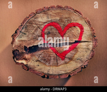 Love and save nature, red heart drawn on a tree trunk. Help to protect nature, stop deforestations. Stock Photo
