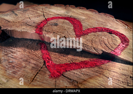 Love and save nature, red heart drawn on a tree trunk, close-up. Help to protect nature, stop deforestations. Stock Photo