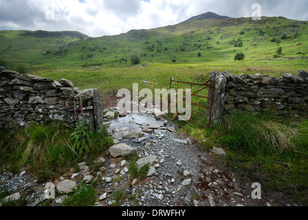 Open gate to a field in the Snowdonia National Park, North Wales Stock Photo