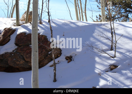 Snowy hillside Stock Photo