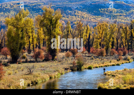 Fly fishing at Fall Creek in Central Oregon Stock Photo - Alamy