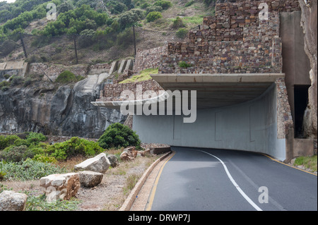 Wire netting to stop rocks falling onto the road, Chapman's Peak between Noordhoek and Hout Bay, Western Cape, South Africa Stock Photo