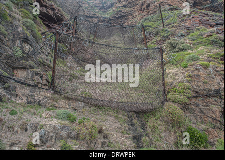 Wire netting to stop rocks falling onto the road, Chapman's Peak between Noordhoek and Hout Bay, Western Cape, South Africa Stock Photo
