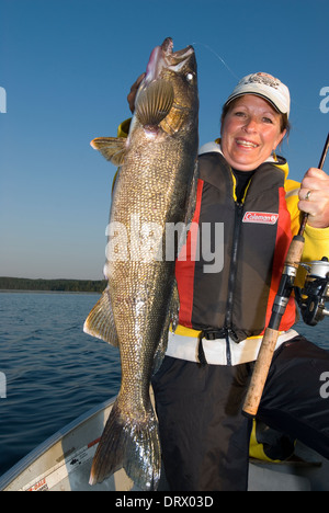 Woman angler holding the summer walleye she caught in Northern Ontario, Canada. Stock Photo