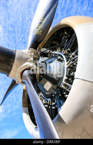 The Wright Cyclone engine of a B17 Flying Fortress WW2 bomber plane Stock Photo