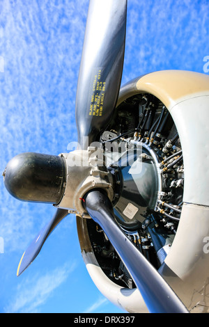 The Wright Cyclone engine of a B17 Flying Fortress WW2 bomber plane Stock Photo