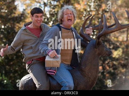 DUMB AND DUMBER TO 2014 Red Granite Pictures film with Jim Carrey and Jeff Daniels Stock Photo