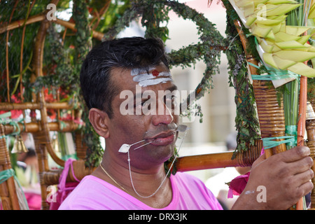 A devotee of Lord Muruga carrying a decorative cavadee with his tongue and cheeks pierced with silver spears. Stock Photo