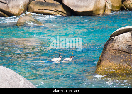 Tourist couple snorkeling in Ao Hin Wong, (Hin Wong Bay), Ko Tao Island, Thailand Stock Photo