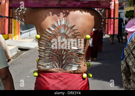 A devotee of Lord Muruga carrying a decorative cavadee and body pierced with silver needles during the Thaipoosam Cavadee. Stock Photo