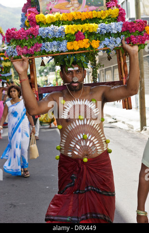 A devotee of lord Muruga carrying a decorative cavadee and body pierced with silver needles during the Thaipoosam Cavadee. Stock Photo