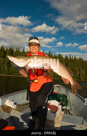 Woman angler trying to hold up a huge northern pike she caught from a boat on a lake in Northern Ontario, Canada Stock Photo