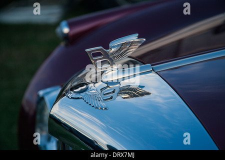Bentley motor car badge Stock Photo