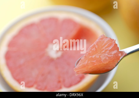 Piece of grapefruit on spoon in foreground, out of focus grapefruit half in white bowl in the background. Stock Photo