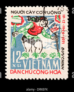 Postage stamp from Vietnam depicting a woman in a rice paddy field. Stock Photo