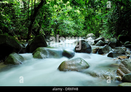 Tua River in Malaysia Stock Photo