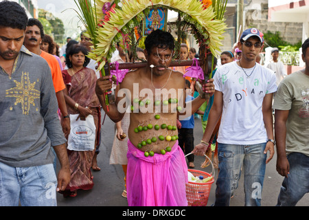 A devotee of Lord Muruga carrying a decorative cavadee and hooks with lemon hanging to his body during the Thaipoosam Cavadee. Stock Photo